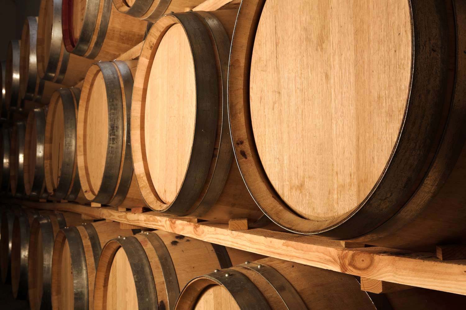 🍶 하마다 주조 덴베에구라 이미지 7